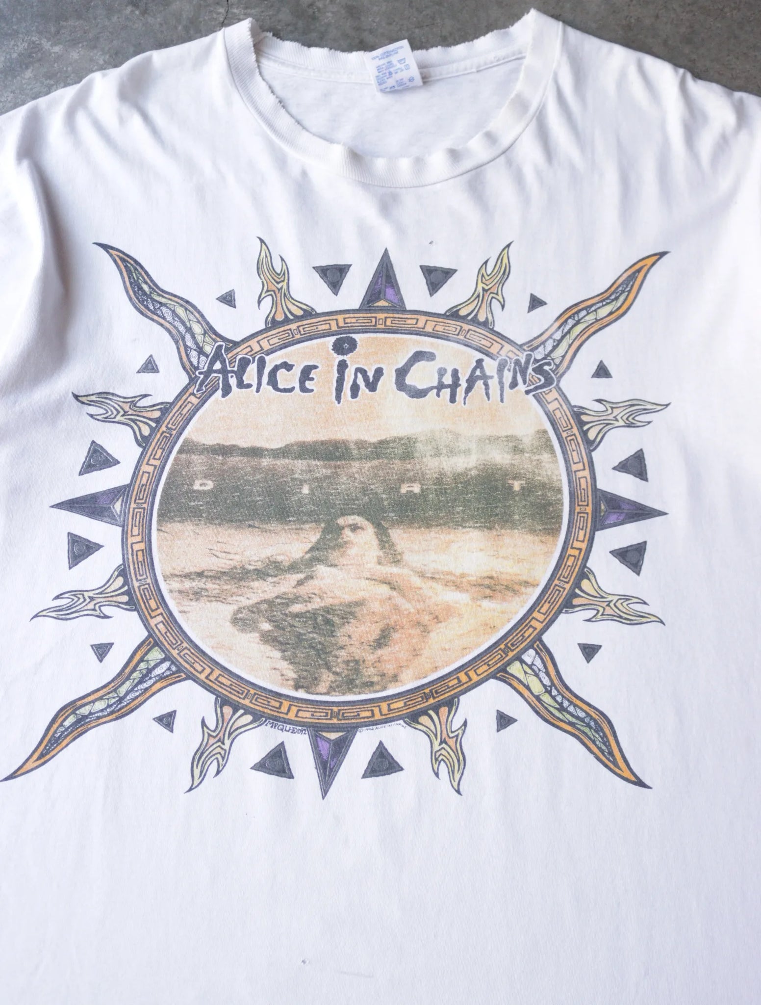1990S ALICE IN CHAINS DIRT BAND TEE