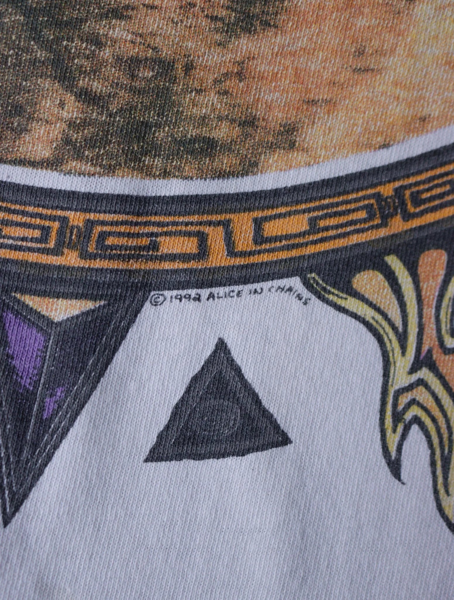 1990S ALICE IN CHAINS DIRT BAND TEE