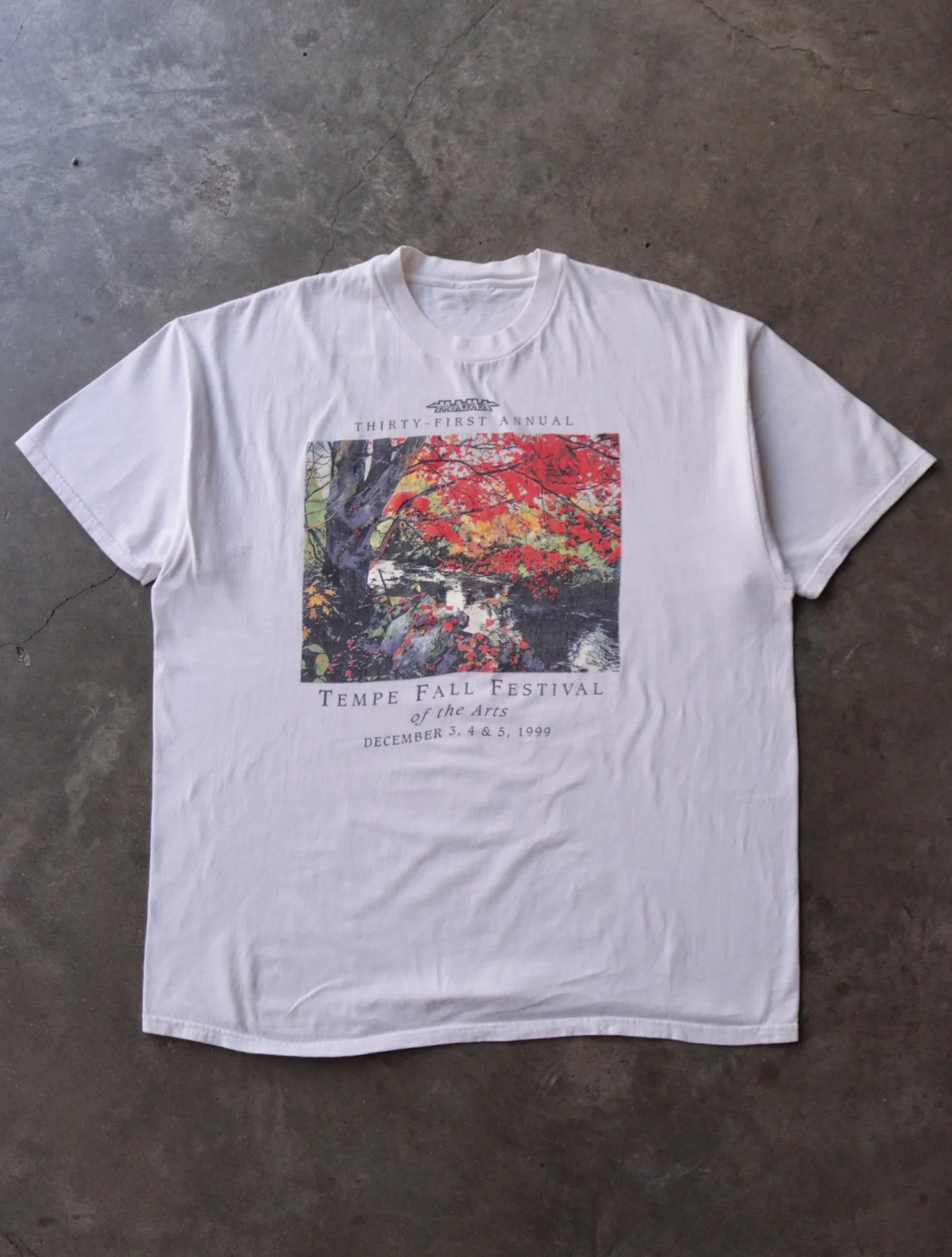 1990S TEMPLE FALL FESTIVAL TEE