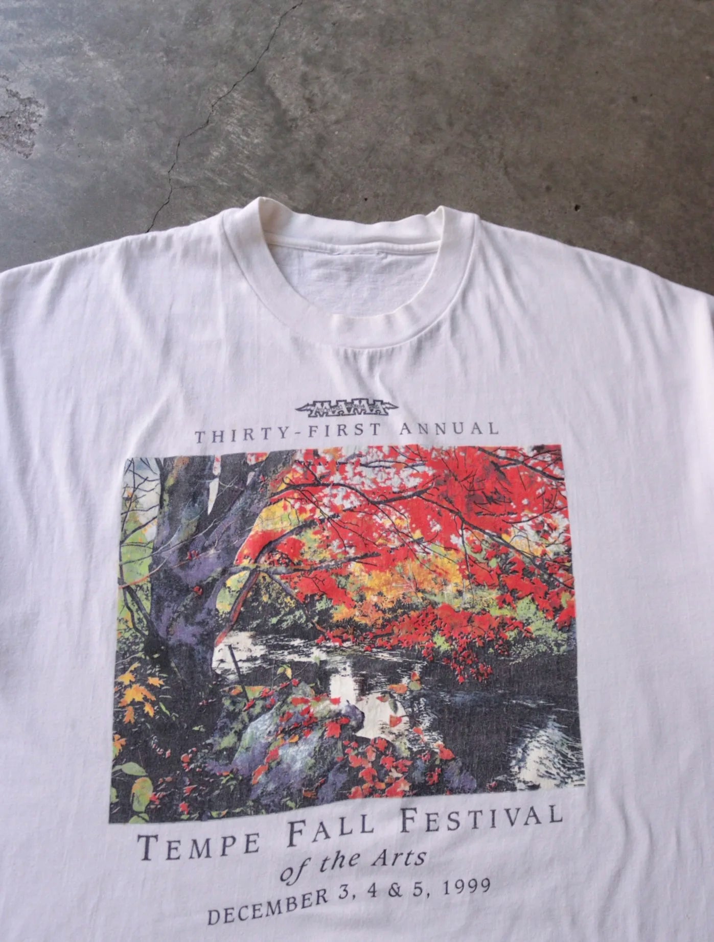 1990S TEMPLE FALL FESTIVAL TEE