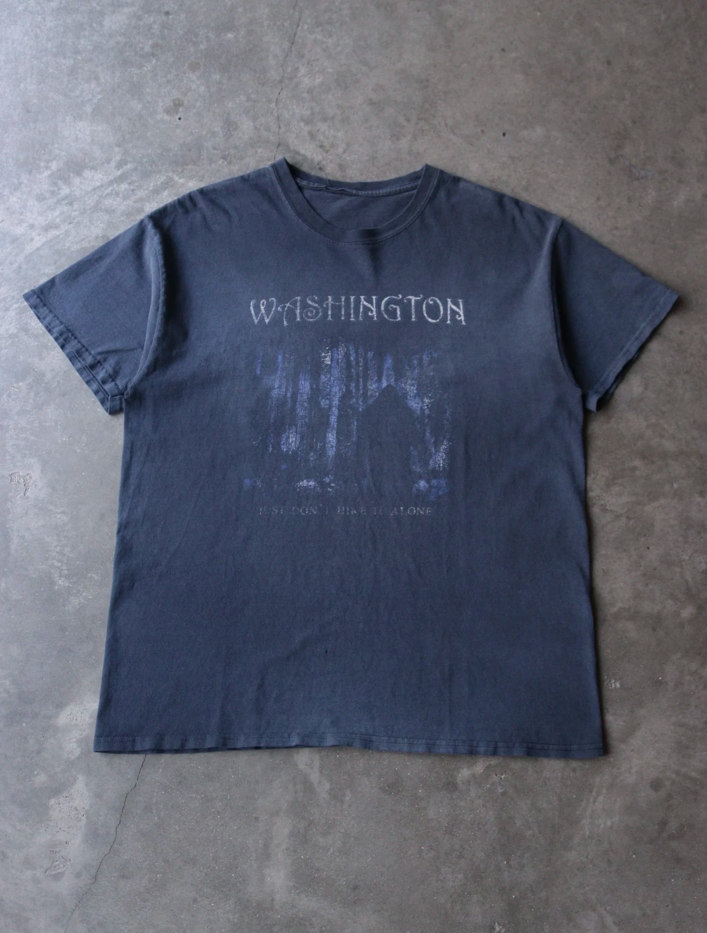 2000S SUN FADED WASHINGTON TEE
