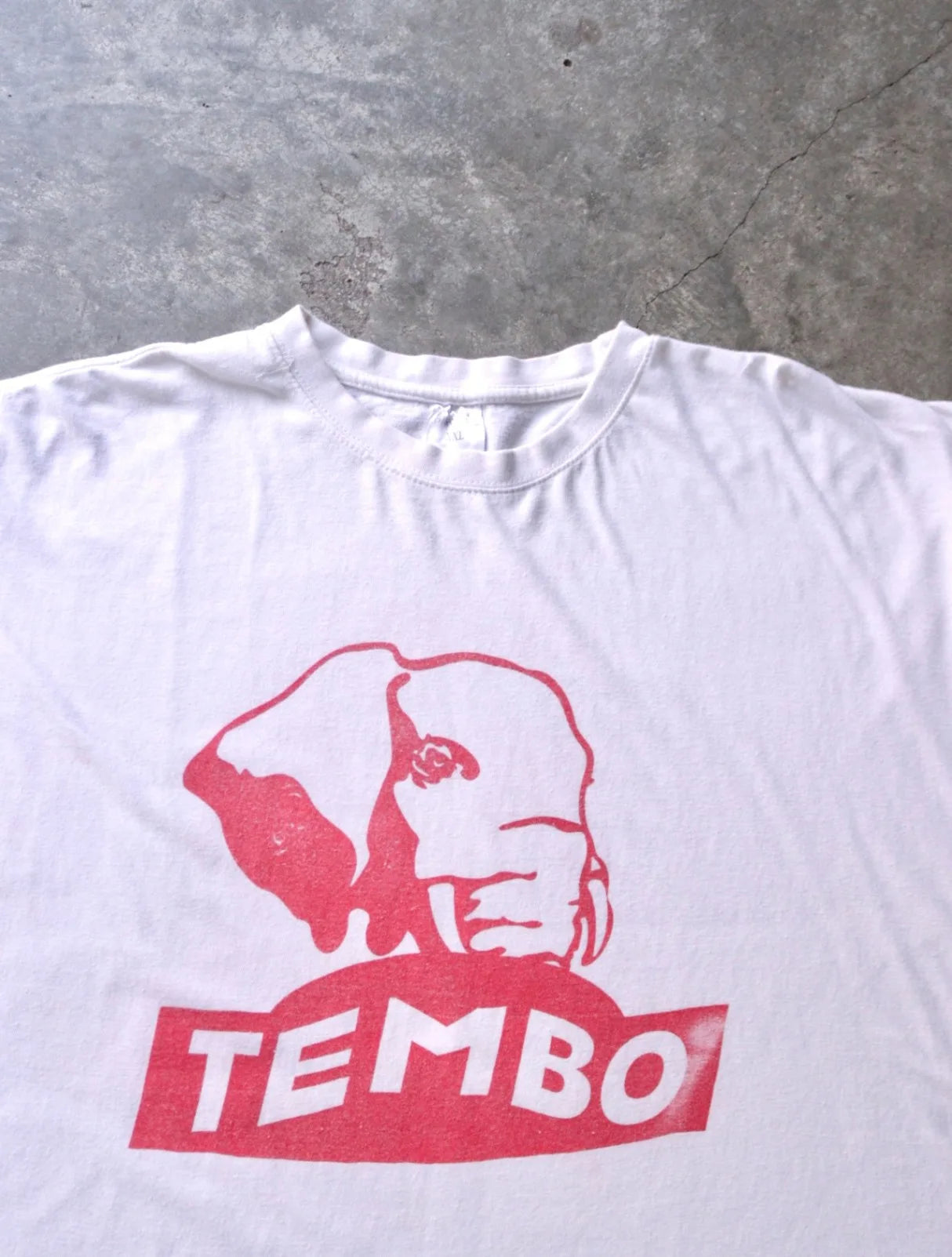 2000S FADED TEMBO TEE
