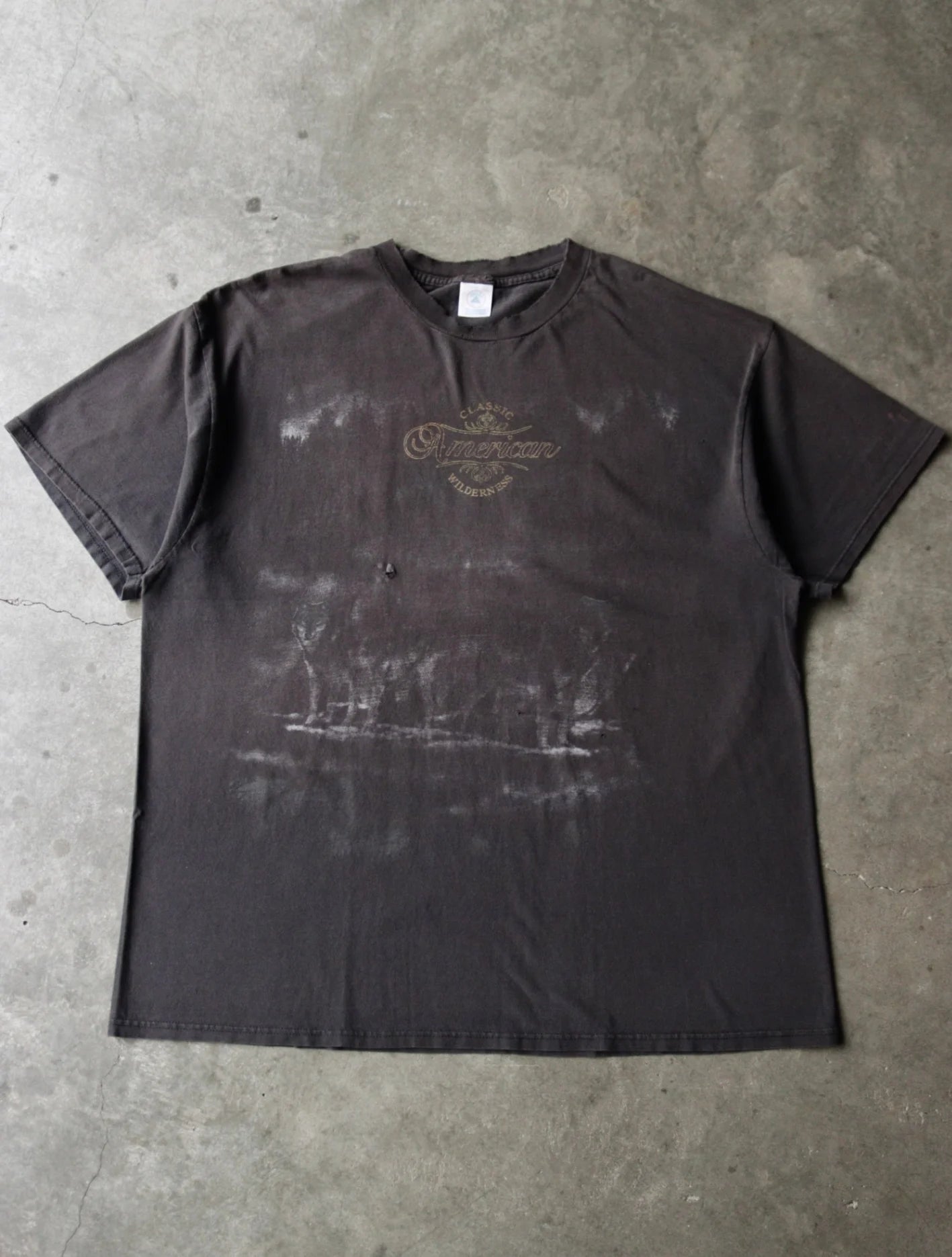 1990S AMERICAN WILDERNESS TEE