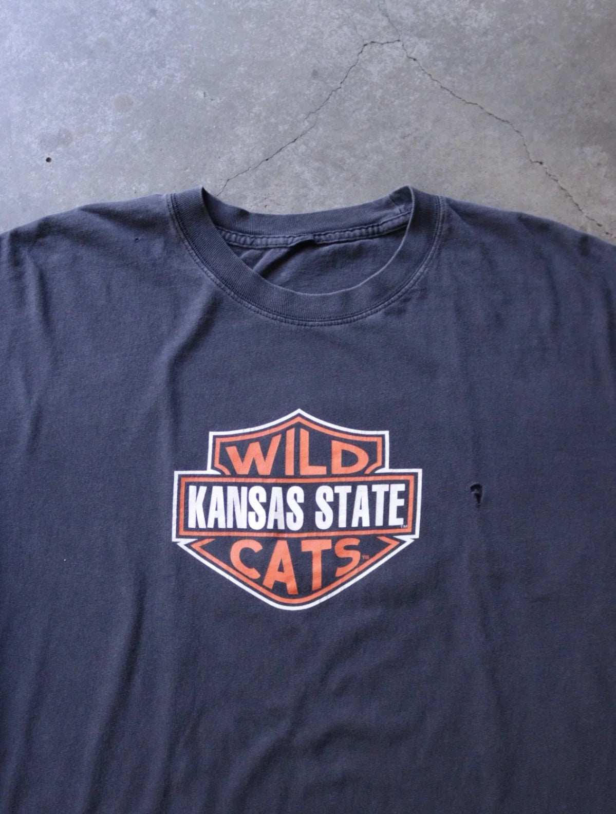 2000S WILD STATE CATS L/S TEE